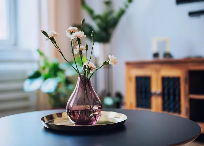 Szpitalna 20 Nr 8 كراكوفيا